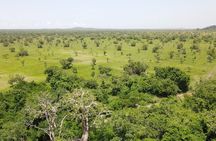Full-Day Accra Safari & Boat Cruise Day Tour with Guide