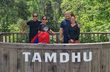 3 Hour Whisky Tour: Small Group Tasting Tour Around Speyside