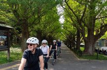 3-Hour Tokyo Private E-Bike Tour Starting from Your Hotel