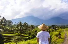 Private Full Day Bali Tour with Driver