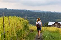 Hidden Bali Gems Sekumpul, Sacred Temples and Jatiluwih