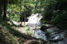  Chiang Mai Trekking Tour :Full day (no rafting)