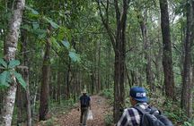  Chiang Mai Trekking Tour :Full day (no rafting)