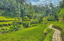 Private Customize Ubud Day Tour With Experienced Driver