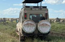  Tanzania 5 Big Safari