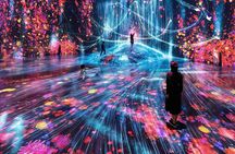 TeamLab Phenomena Abu Dhabi