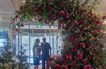 From Temples to Tides: A Private Day in Magical Busan