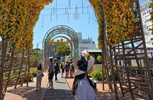 From Temples to Tides: A Private Day in Magical Busan