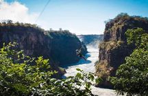 Explore the Wonders of Kruger and Victoria Falls in 7 Days Tour