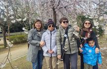 The Busan Forest and Coastal Private Tour