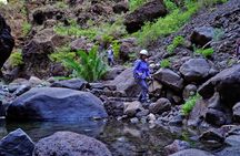 Masca Ravine: Descent and Boat Trip