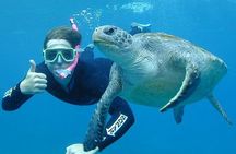 Hikkaduwa Unforgettable Snorkeling Experience 