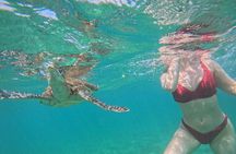 Hikkaduwa Unforgettable Snorkeling Experience 