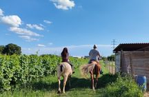 Horseback Riding with wine tasting in Lake Garda vineyards