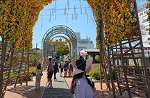 2-Day Daegu & Busan ARMY Tour of BTS from Seoul by KTX Train 