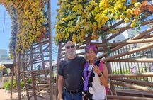 Busan in Bloom: 2 Days of Coastal Beauty and Calm