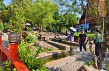 Chiang Rai Day Tour from Chiang Mai: White Temple & More w/ Lunch