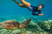 Pizza Pie Party- Snorkel & Sunset Cruise