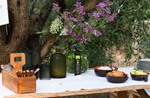 Tortolì Oil Mill Tour with Guided Oil Tasting in Lotzorai