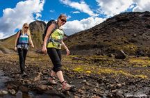 Arenales Hill Trekking in the Andes from Mendoza