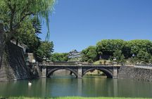 Half-day Tokyo Tour by Hato Bus (Morning Tour)