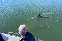  Private Dolphin, Lighthouse and Shelling Adventure (Folly Beach)