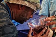 Street Food Tour in Panama City with 24 samples and secret drinks