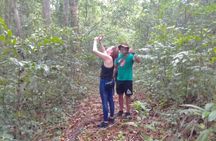 All Inclusive Tikal Tour from Flores or Mayan World Airport