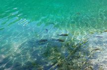 From Zadar to Plitvice Lakes Day Tour, Entry Ticket Included 