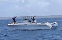 private Boat Dive charter Marine Park, incl. guide, all Equipment