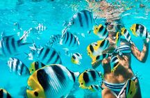 Rosario Islands Full Day Boat Tour with Lunch and Snorkeling