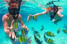 Rosario Islands Full Day Boat Tour with Lunch and Snorkeling