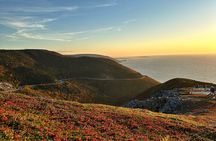 Sydney Cape Breton Shore Excursion: Cabot Trail Scenic Tour