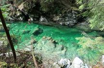 Capilano Suspension Bridge, Stanley Park & Lynn Caynon Park Tour