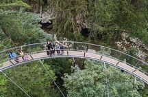 Capilano Suspension Bridge, Stanley Park & Lynn Caynon Park Tour