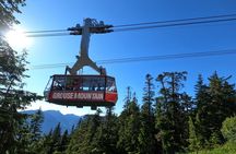 Grouse Mtn Stanley Park Hatchery Cleveland Dam Lynn Canyon Tour