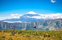 Mt. Fuji and Hakone Day Trip From Tokyo with Bullet Train Option