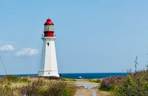 City Sights and Shoreline Tour
