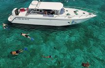 Snorkel St. John Tour from Sapphire and Margaritaville