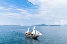 3 Day Komodo Island Cruise and Snorkeling with Emocean Tour
