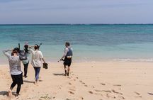 Okinawa's Gorgeous Beach & Snorkel Tour: Private & Customised