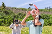 Okinawa Private Adventure Day: Beaches, Snorkeling & Waterfalls