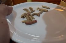 After the footsteps of Nacho Libre in Oaxaca