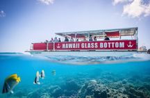 Waikiki Glass Bottom Boat Tour
