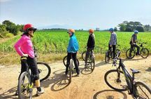 Chiang Mai Rice Fields Bike Tour Along Mae Ping River