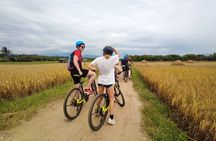 Chiang Mai Rice Fields Bike Tour Along Mae Ping River