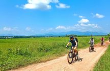 Chiang Mai Rice Fields Bike Tour Along Mae Ping River