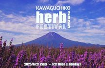 Tokyo: Mt.Fuji & Lake Kawaguchiko 1-Day Bus Tour w/Optional Lunch