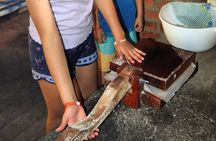 Hands-on Mexican Farm Experience: from Cow to Cheese