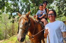 Hands-on Mexican Farm Experience: from Cow to Cheese